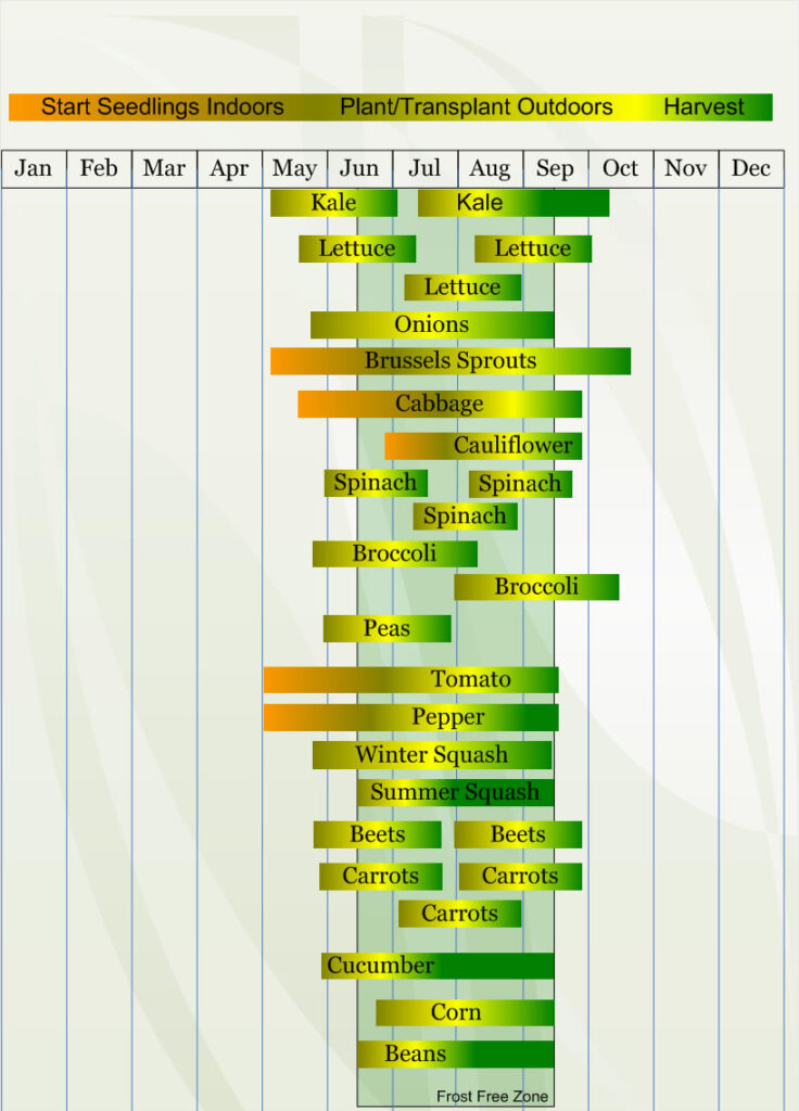 Zone 4 Vegetable  planting calendar describing approximate dates to start vegetable  plants indoors and outdoors relative to specific USDA Plant Hardiness  Zones.
