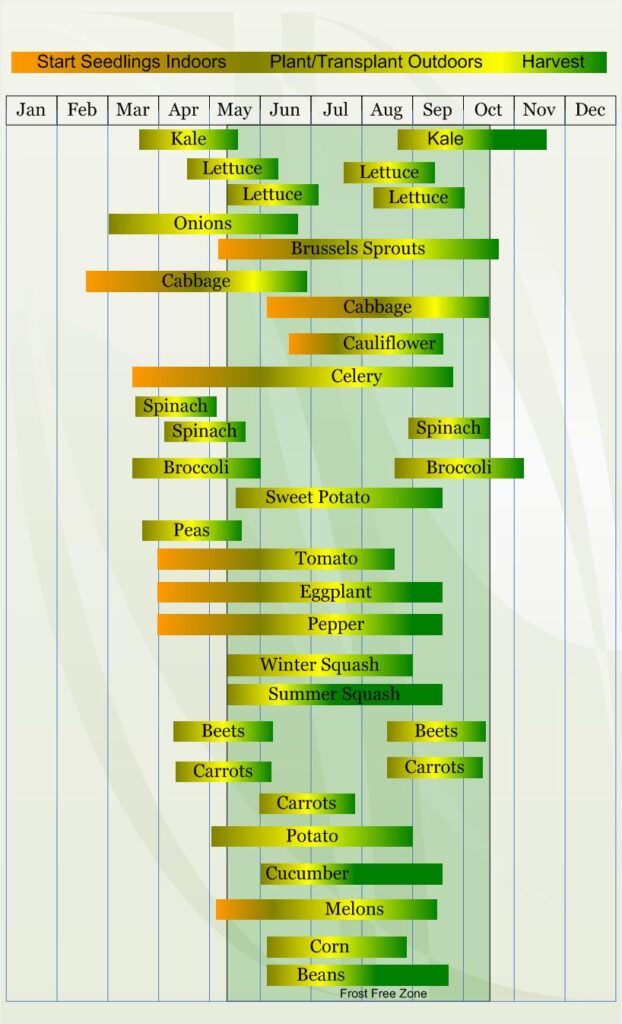Zone 6 Vegetable  planting calendar describing approximate dates to start vegetable  plants indoors and outdoors relative to specific USDA Plant Hardiness  Zones.