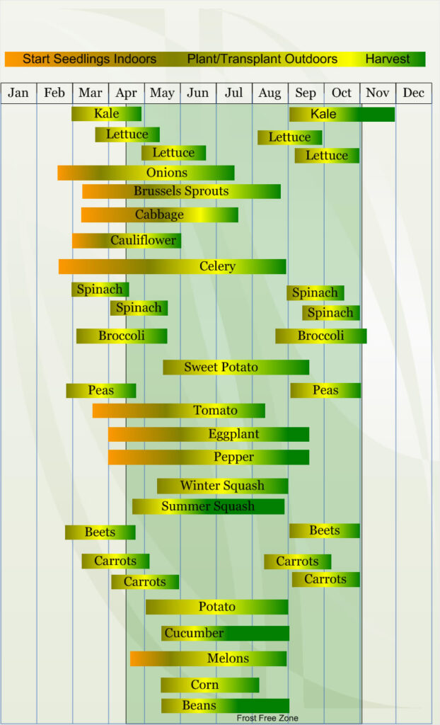 Zone 7 Vegetable  planting calendar describing approximate dates to start vegetable  plants indoors and outdoors relative to specific USDA Plant Hardiness  Zones.